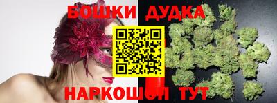 индика Нальчик