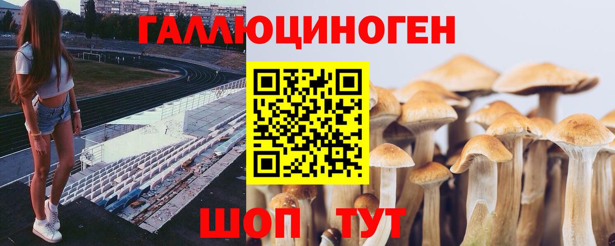 Псилоцибиновые грибы Magic Shrooms  Галлюциногенные грибы Cubensis  Унеча  Вход с VPN 