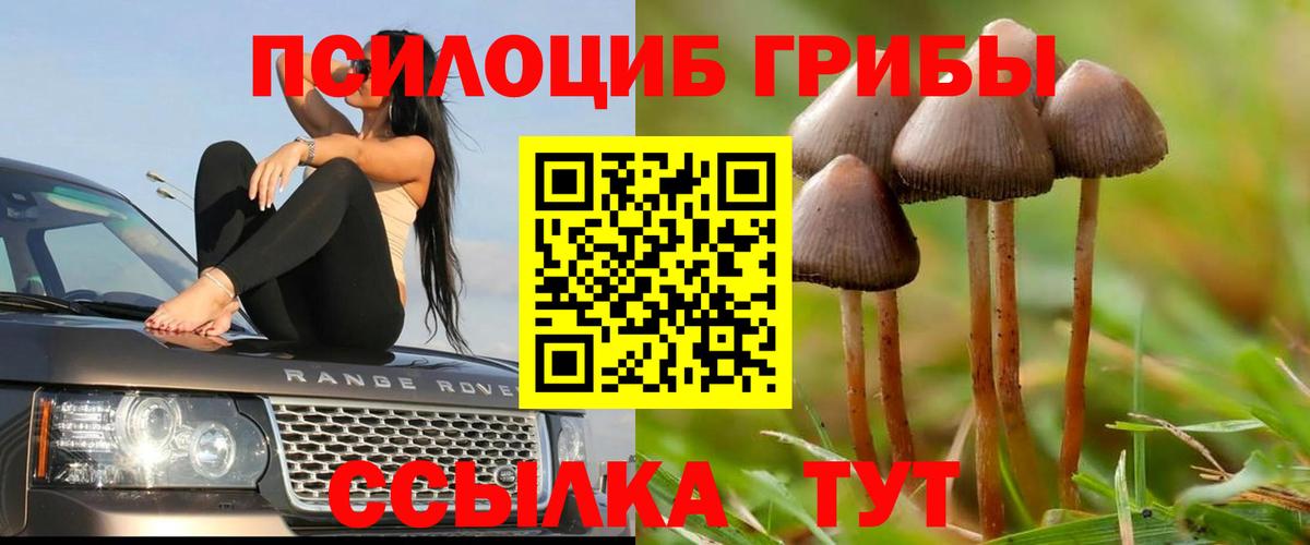 Псилоцибиновые грибы MAGIC MUSHROOMS Унеча